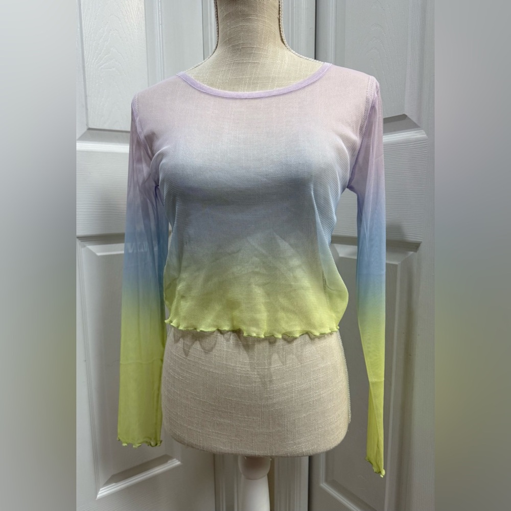 Sheer Mesh Multicolor Long-Sleeve Crop Top – Size L (Runs very small)